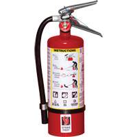 Fire Extinguisher, ABC, 5 lbs. Capacity Mukwa Safety Services
