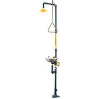 Safe-T-Zone&reg; Combination Shower & Eye/Face Wash Mukwa Safety Services