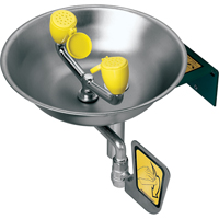 Eye/Face Wash Station, Wall-Mount Installation, Stainless Steel Bowl Mukwa Safety Services