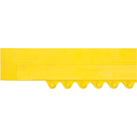 Rampe de bordure pour tapis Mukwa Safety Services