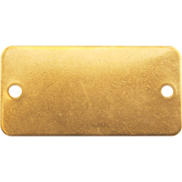 Blank Tags, Brass, 3" W x 1" H Mukwa Safety Services