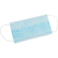 Disposable Face Masks