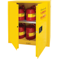 Armoire pour produits inflammables, 30 gal., 2 Porte(s), 43" La x 44" h x 18" p Mukwa Safety Services