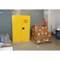Flammable Storage Cabinet, 45 gal., 2 Door, 43" W x 65" H x 18" D Mukwa Safety Services