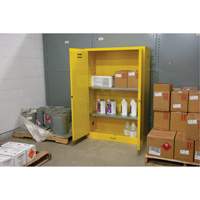 Flammable Storage Cabinet, 45 gal., 2 Door, 43" W x 65" H x 18" D Mukwa Safety Services