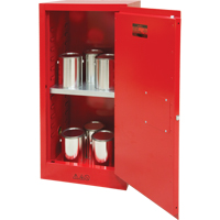 Armoire pour peintures et encres, 20 gal. Mukwa Safety Services