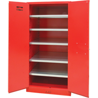 Paint/Ink Cabinet, 96 gal., 5 Shelves Mukwa Safety Services