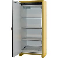 30-Minute EN Safety Storage Cabinet, 30 gal., 1 Door, 34.02" W x 76.65" H x 24.21" D Mukwa Safety Services