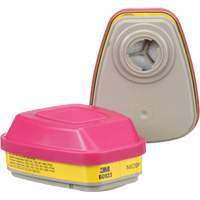 6000 Series Respirator Cartridges, Gas/Vapour Cartridge, Organic Vapour/Acid Gas/P100 Mukwa Safety Services