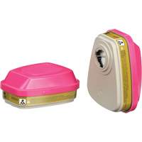 Cartouches pour respirateur s&eacute;rie 6000, Cartouche gaz/vapeur, Gaz multiples/Vapeurs/P100 Mukwa Safety Services