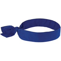 Chill-its&reg; 6700 Cooling Bandanas, Blue Mukwa Safety Services