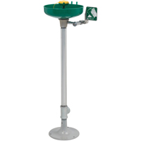 Axion&reg; Eye/Face Wash Station, Pedestal Installation, Plastic Bowl Mukwa Safety Services