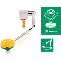 Eye/Face Wash Station, Sink Mount Installation Mukwa Safety Services