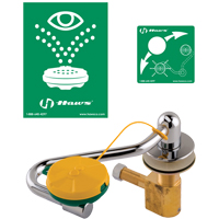 Eye/Face Wash Station, Sink Mount Installation Mukwa Safety Services