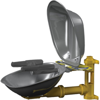 Halo Face/Eyewash Stations, Wall-Mount Installation, Stainless Steel Bowl Mukwa Safety Services
