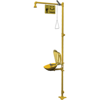 Combinaison de douche d'urgence & douche oculaire Halo Mukwa Safety Services