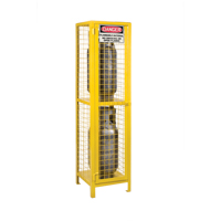 Gas Cylinder Cabinets, 2 Cylinder Capacity, 17" W x 17" D x 69" H, Yellow Mukwa Safety Services
