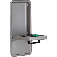 Eye/Face Wash Station, Wall-Mount Installation, Stainless Steel Bowl Mukwa Safety Services