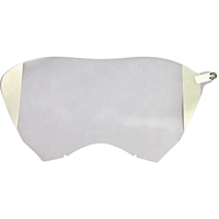 Replacement Faceshields Protectors for 9000 Full Facepiece Respirators Mukwa Safety Services