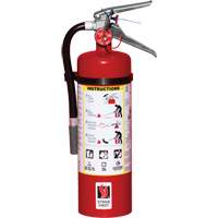 Extincteur d'incendie, ABC, Capacit&eacute; 5 lb Mukwa Safety Services