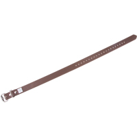 Leg Straps Mukwa Safety Services