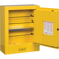 Sure-Grip&reg; EX Mini Flammable Safety Cabinet, 2 Gal., 1 Door, 17" W x 22" H x 8" D Mukwa Safety Services