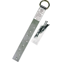 Miller&reg; Single Roof Anchor, D-Ring, Permanent Use Mukwa Safety Services