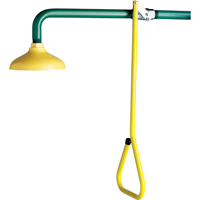 Lifesaver&reg; Emergency Overhead Showers, Wall-Mount Mukwa Safety Services