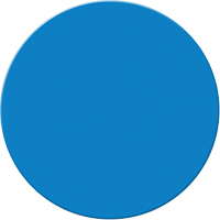 Marqueurs all&eacute;g&eacute;e/5S Armor Stripe, Cercle, 6" lo x 6" la, Bleu, Plastique Mukwa Safety Services