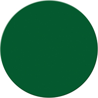 Marqueurs all&eacute;g&eacute;e/5S Armor Stripe, Cercle, 6" lo x 6" la, Vert, Plastique Mukwa Safety Services
