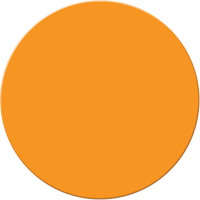 Marqueurs all&eacute;g&eacute;e/5S Armor Stripe, Cercle, 6" lo x 6" la, Orange, Plastique Mukwa Safety Services