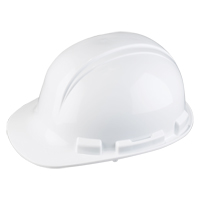 Casque de s&eacute;curit&eacute; Whistler de North, R&eacute;pond aux normes CSA type 1, Suspension Rochet, Non ventil&eacute; Mukwa Safety Services