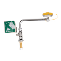 Eye/Face Wash Station, Sink Mount Installation Mukwa Safety Services