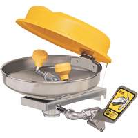 Eyewash Station, Wall-Mount Installation, Stainless Steel Bowl Mukwa Safety Services