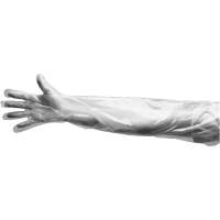 Disposable Gloves, Large, Polyethylene, 9-mil, Powdered, Clear Mukwa Safety Services