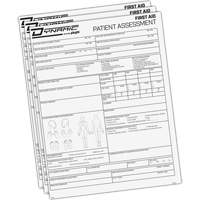 Dynamic Patient Assessment Chart Mukwa Safety Services