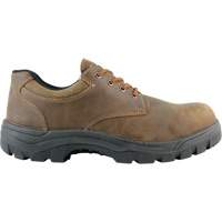 Warrior Work Shoes, Size 13, Steel Toe, Puncture Resistant Sole, Leather Mukwa Safety Services