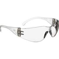 Virtua Safety Glasses, Clear Lens, Anti-Fog, Meets/Exceeds CSA Z94.3 Mukwa Safety Services