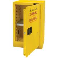 Flammable Storage Cabinet, 12 gal., 1 Door, 23" W x 35" H x 18" D Mukwa Safety Services