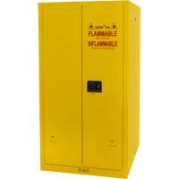 Armoire pour produits inflammables, 60 gal., 2 Porte(s), 34" La x 65" h x 34" p Mukwa Safety Services