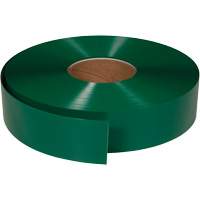 Ruban de marquage tr&egrave;s r&eacute;sistant pour plancher ArmorStripe, 2" x 100', PVC, Vert Mukwa Safety Services