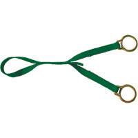 Double D Ring Extension, D-Ring, Temporary Use Mukwa Safety Services