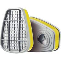Cartridge, Gas/Vapour Cartridge, Multi-Gas/Vapour Mukwa Safety Services
