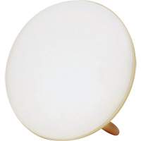 Lampe &agrave; luminoth&eacute;rapie pour le traitement de la d&eacute;pression saisonni&egrave;re Mukwa Safety Services