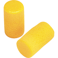 E-A-R Classic Earplugs, Pair - Pillow Pack, Large Mukwa Safety Services