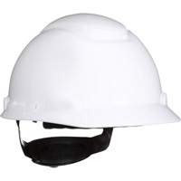 SecureFitH-700 Hardhat, Meets CSA Type 1, Ratchet Suspension, Non-Vented Mukwa Safety Services