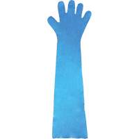 Disposable Gloves, Polyethylene, Powder-Free, Blue Mukwa Safety Services
