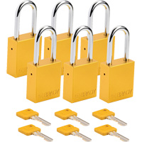 Cadenas de s&eacute;curit&eacute;, Cadenas de s&eacute;curit&eacute;, Cl&eacute;s identiques, Aluminium, Largeur de 1-1/2" Mukwa Safety Services