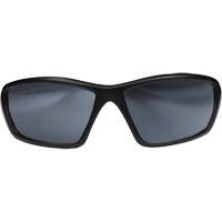 Robson Safety Glasses with Gasket, Silver Mirror Lens, Anti-Scratch/Polarized, ANSI Z87+/MCEPS GL-PD 10-12/Meets/Exceeds CSA Z94.3 Mukwa Safety Services