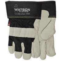 Gants Big Dawg, Petit, Paume en Cuir fleur de vache, Thinsulate Mukwa Safety Services